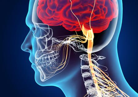 neurology brain spine advancements answered questions clinic