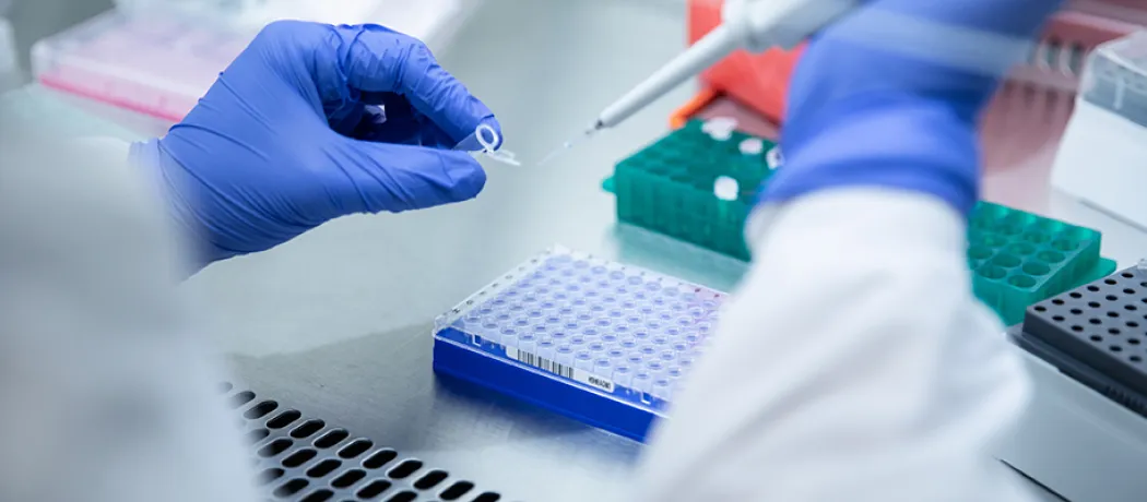 Laboratory workers' hands